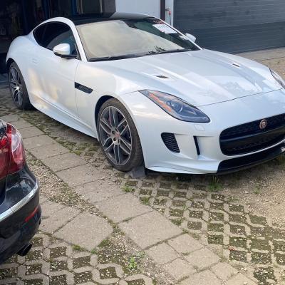 JAGUAR